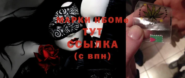 стаф Алзамай