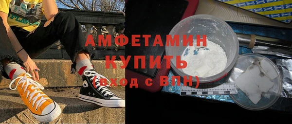 стаф Алзамай