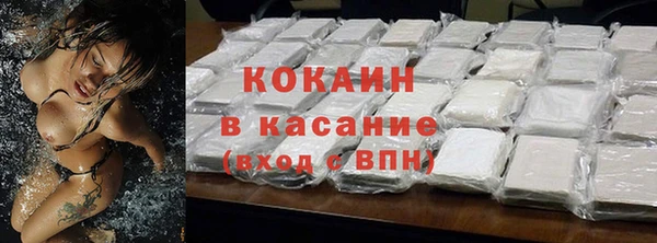 стаф Алзамай