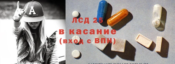 стаф Алзамай
