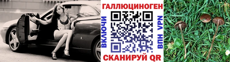 mega ТОР  где продают наркотики  Снежногорск  Галлюциногенные грибы Psilocybe 